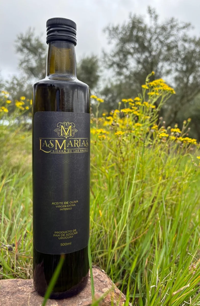 Botella de aceite de oliva Intenso de 500 ml entre flores y olivos de Las Marías