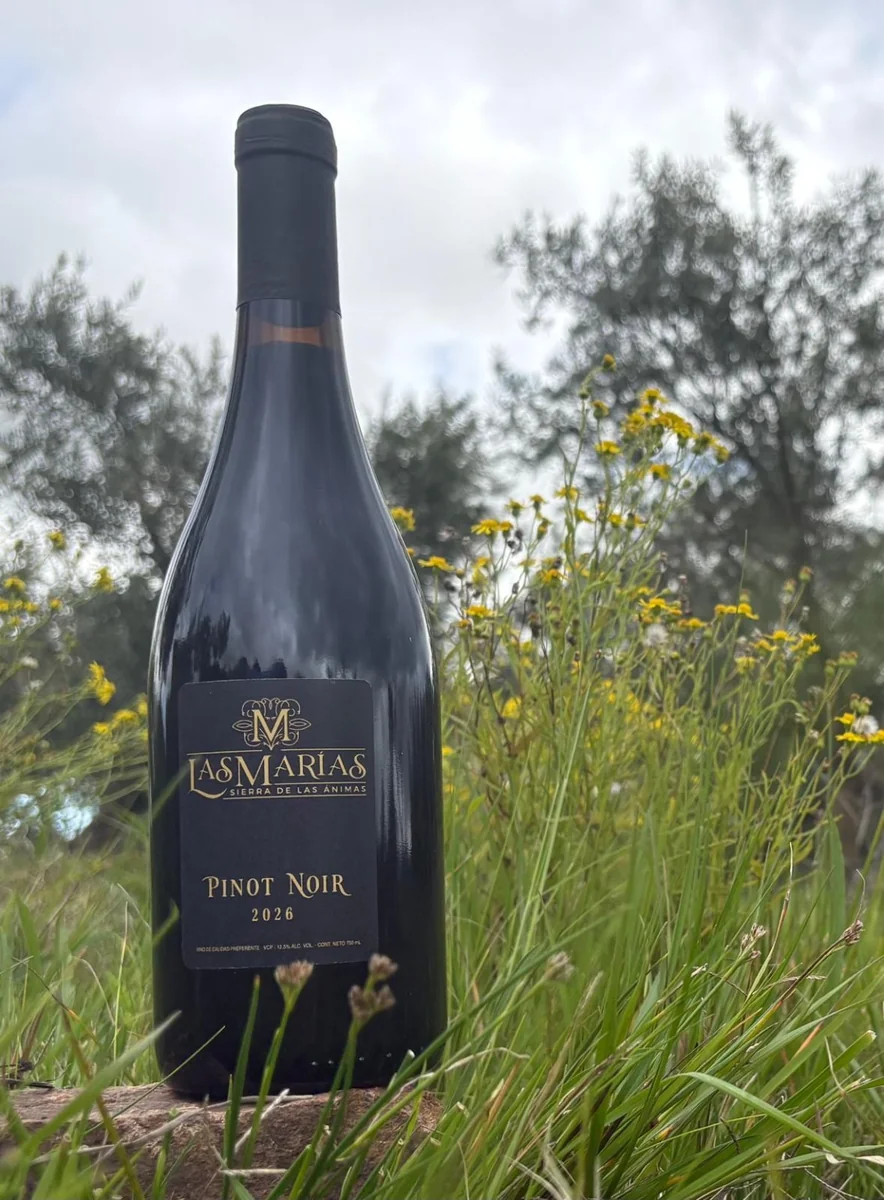 Botella de Pinot Noir Las Marías 2026 entre flores y olivos de la finca